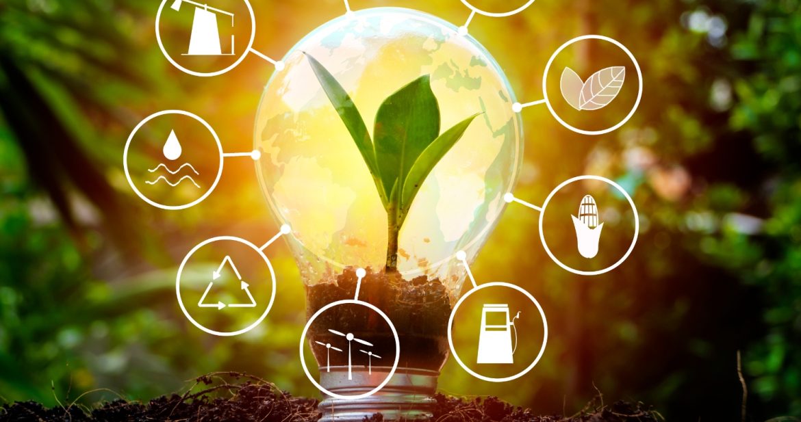 The Growing Importance of Renewable Energy Investments